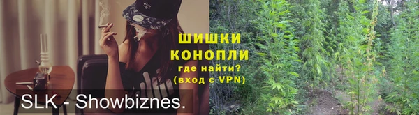 PSILOCYBIN Вяземский