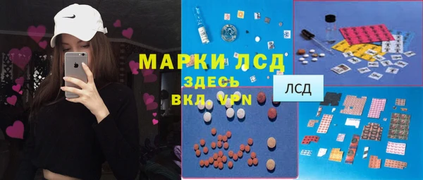PSILOCYBIN Вяземский
