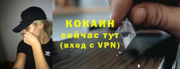 PSILOCYBIN Вяземский