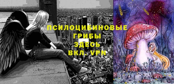 PSILOCYBIN Вяземский
