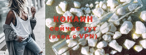 PSILOCYBIN Вяземский