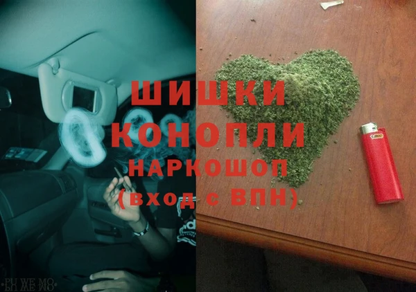 PSILOCYBIN Вяземский