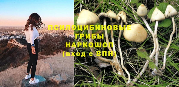 PSILOCYBIN Вяземский