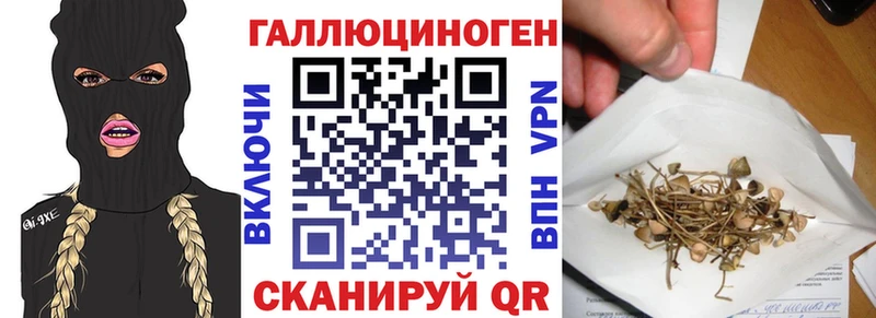 Галлюциногенные грибы Magic Shrooms мориарти как зайти Малаховка